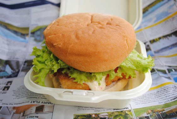 24910_1343769628165_1048979201_1030368_4644215_n