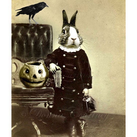 the-decorated-house-1