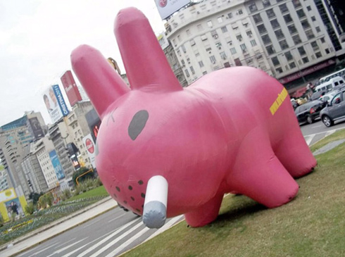 6-meter-Labbit-2