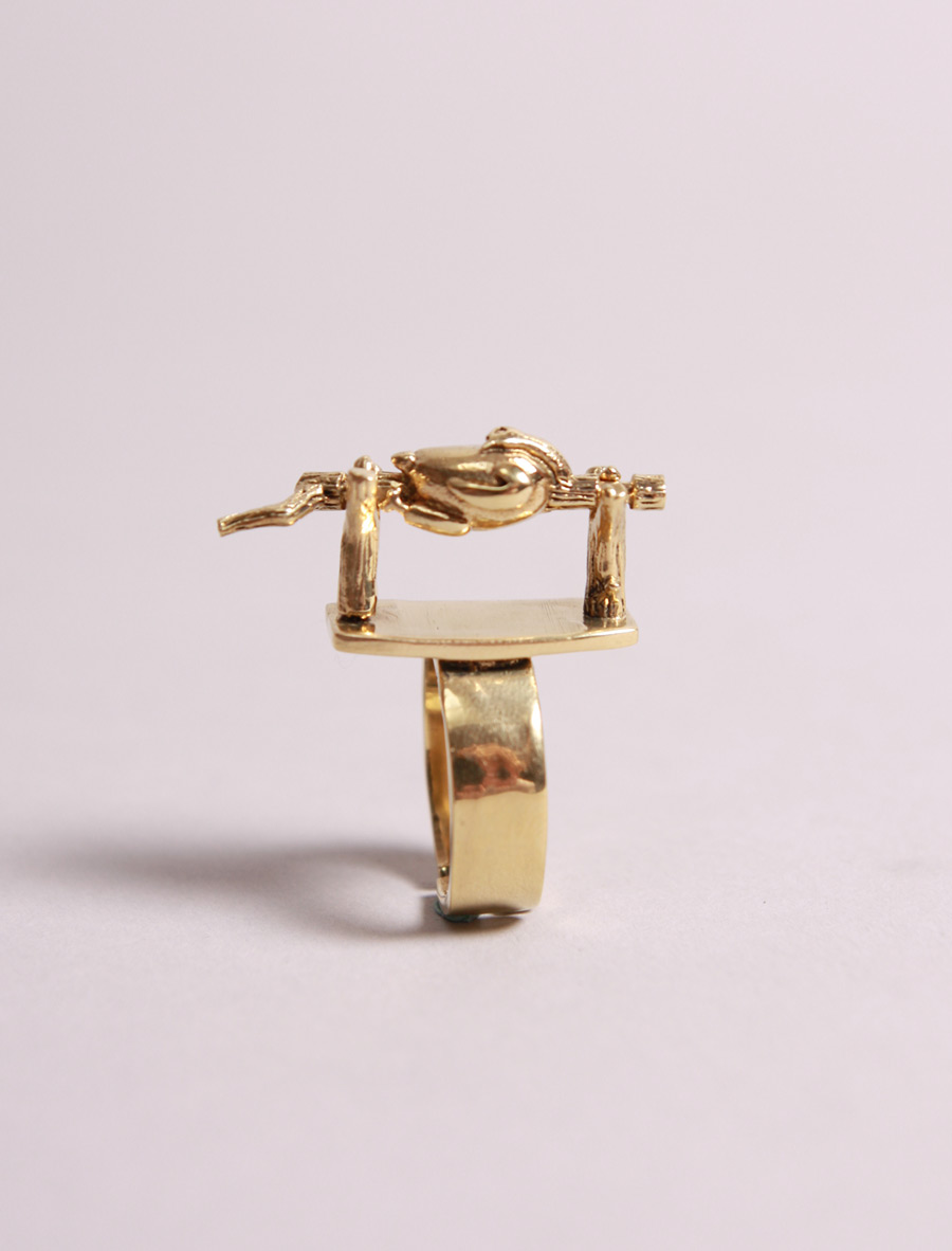 Roasting bird on a turning spit