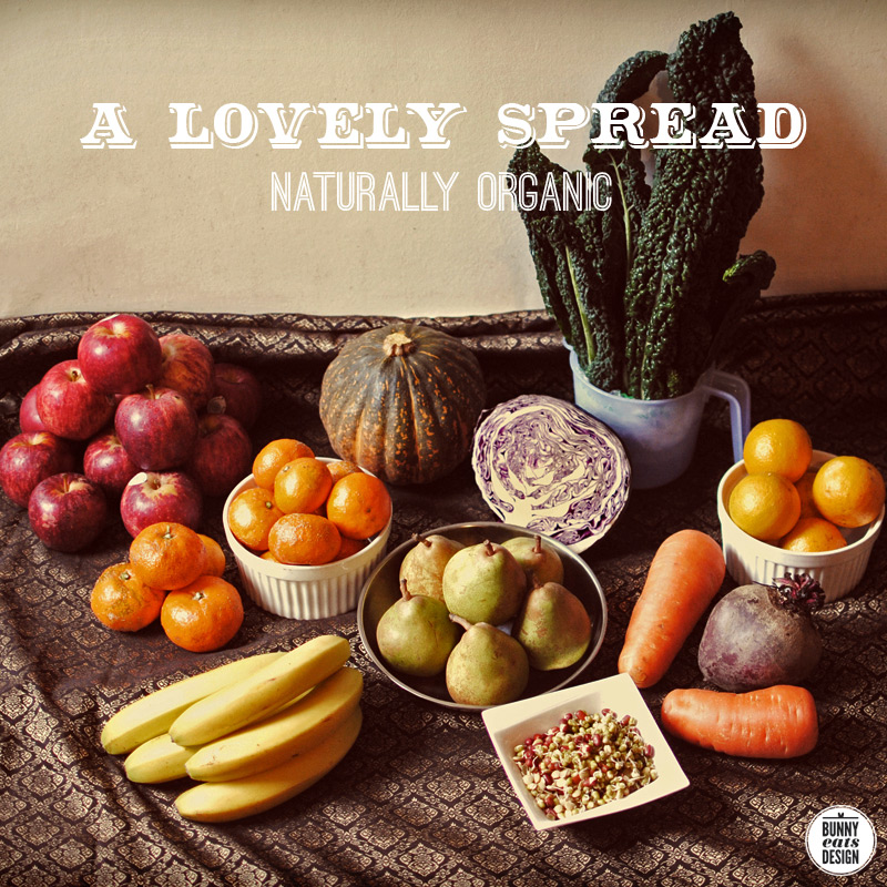 naturally-organic-01