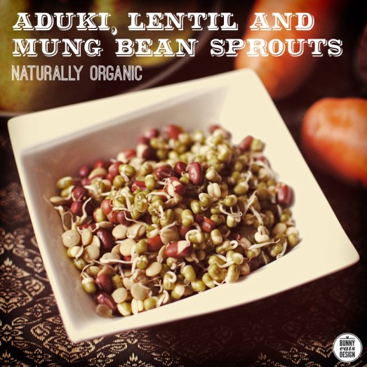 naturally-organic-02