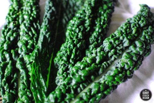 the-shanghai-chicken-project07