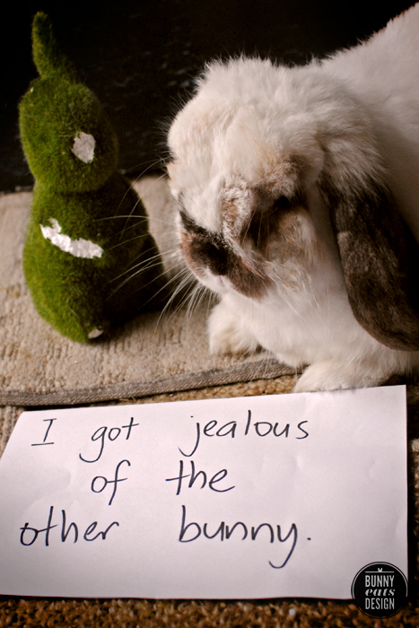 Bunny shaming