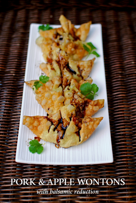 pork-apple-wontons