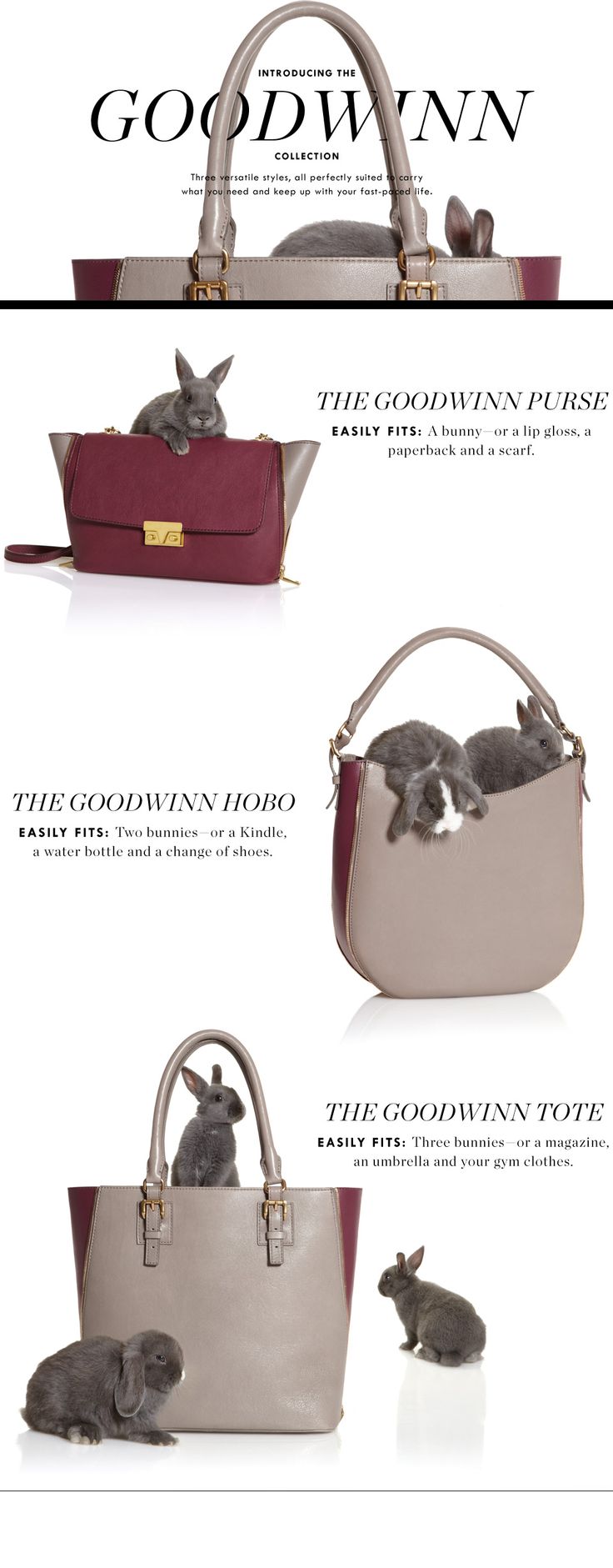 88f0ce9d986679bee17e6487ac80b7f0