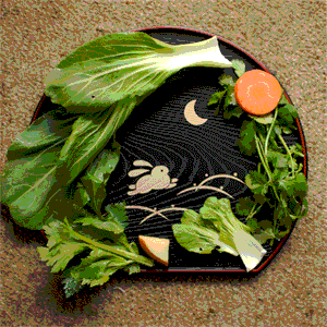 Tofu Tuesday: Rabbit platter | Bunny Eats Design