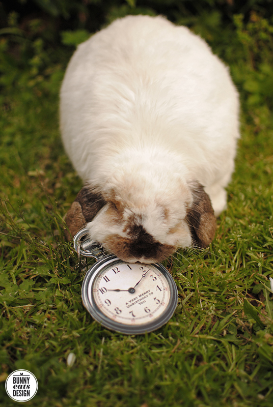 tofu-pocket-watch4