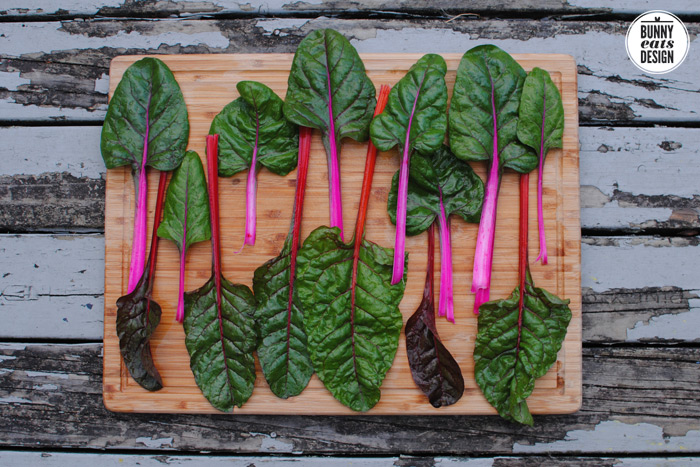 rainbow-chard1