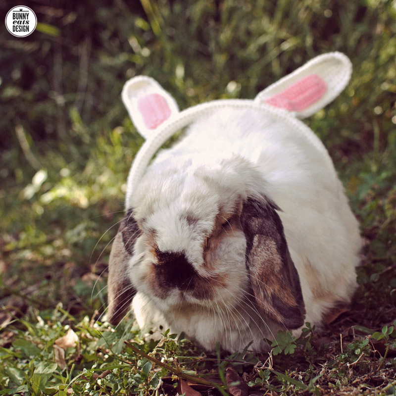 Tofu Tuesday: Bunny Ear Headphones | Bunny Eats Design