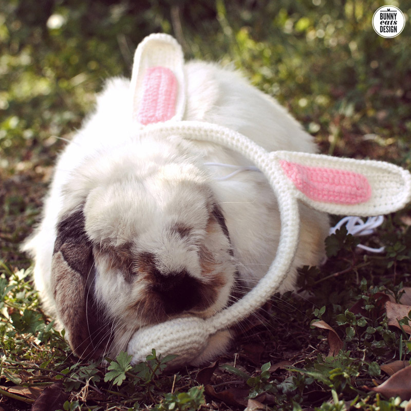 Tofu Tuesday: Bunny Ear Headphones | Bunny Eats Design