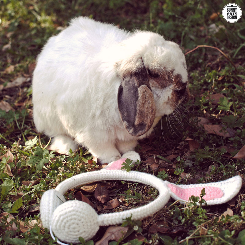 tofu-bunny-headphones4.jpg