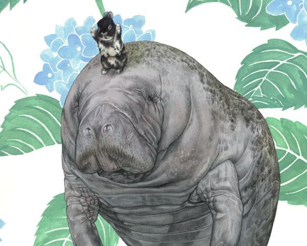 3a660d651ad29bf9bafdc0039c2e0ecc