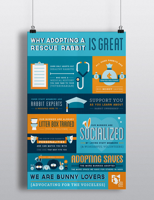 ohio-rabbit-rescue06