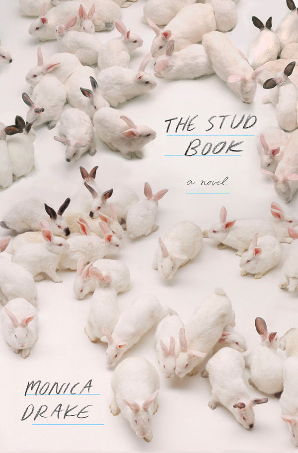the-stud-book