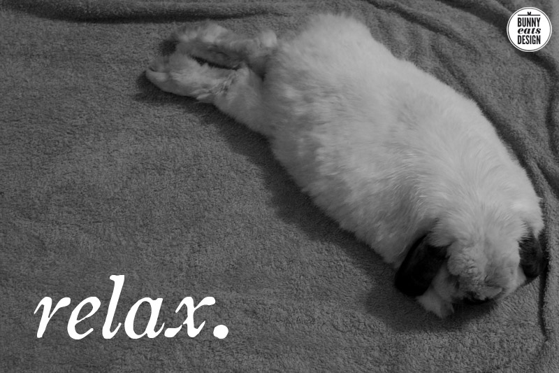 tofu-relaxed-bunny2