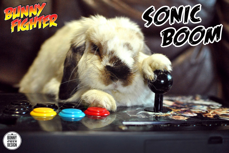 tofu-streetfighter-2