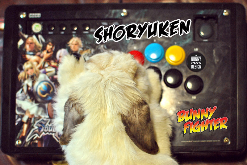 tofu-streetfighter-3