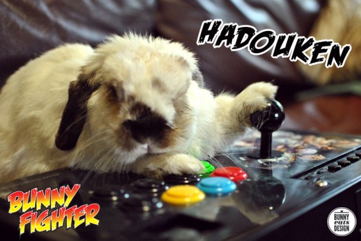 tofu-streetfighter-5