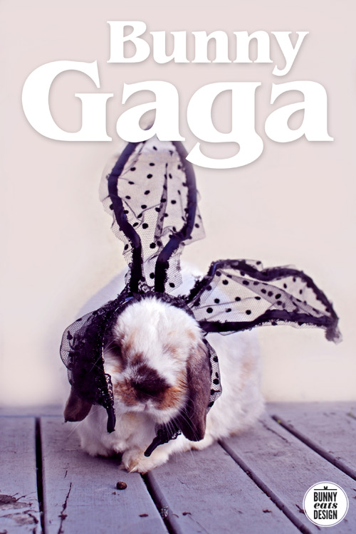 bunny-gaga1