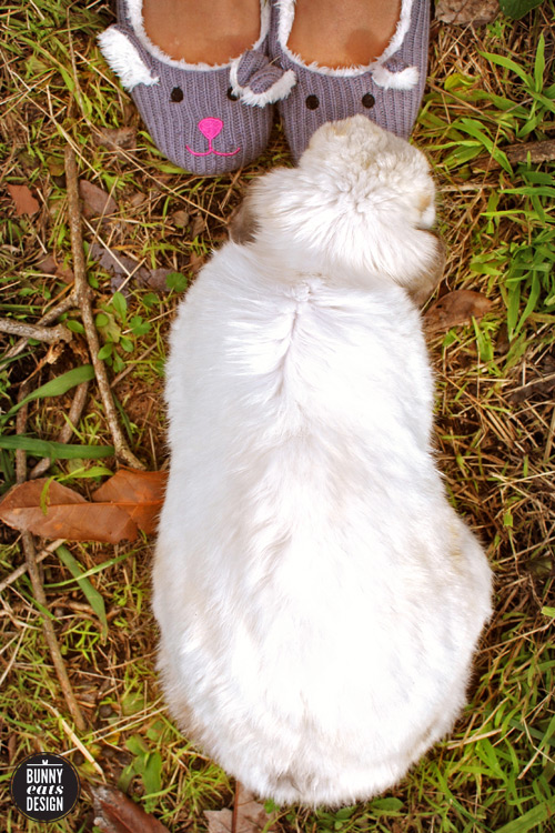 tofu-bunny-slippers2