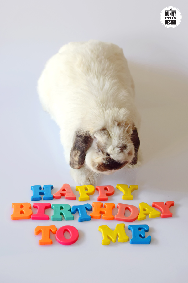 tofu-happy-birthday1