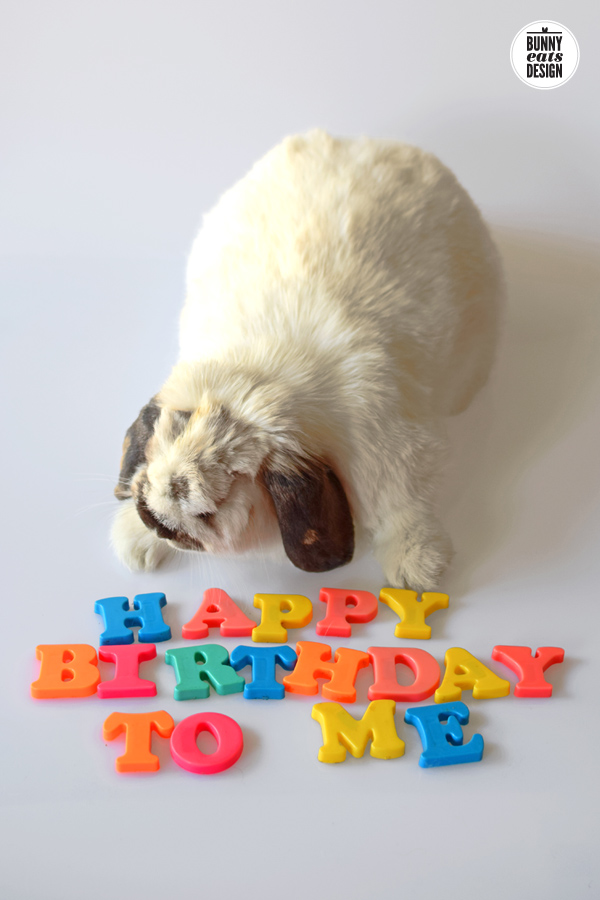 tofu-happy-birthday2