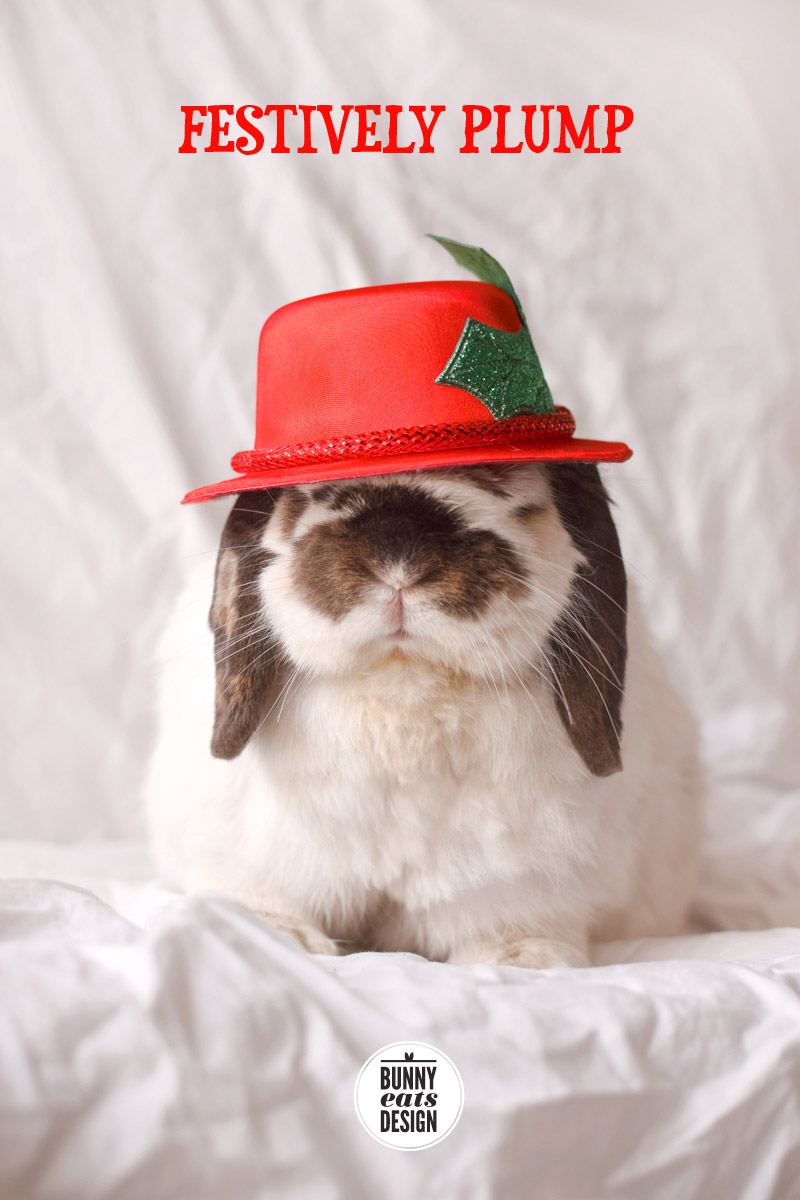 tofu-christmas-bowler04