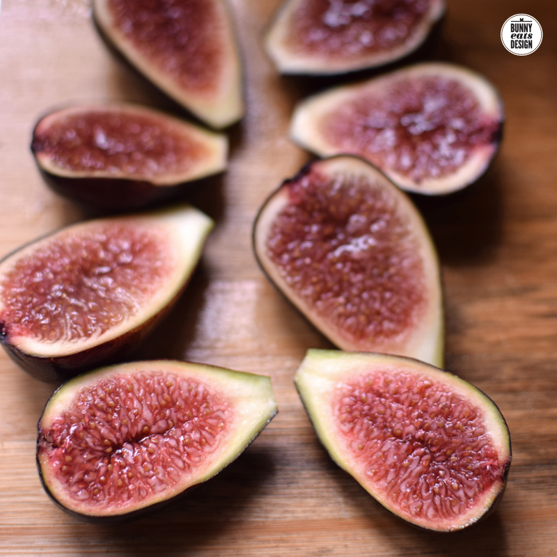 FIGS-001