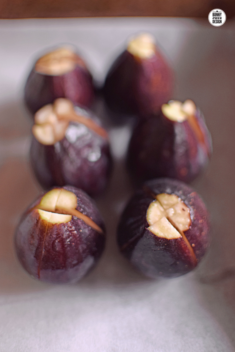FIGS-074
