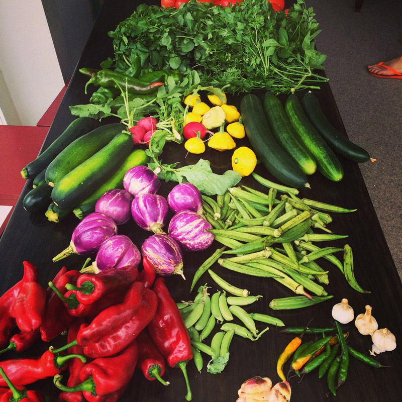 the-enthusiastic-cook04