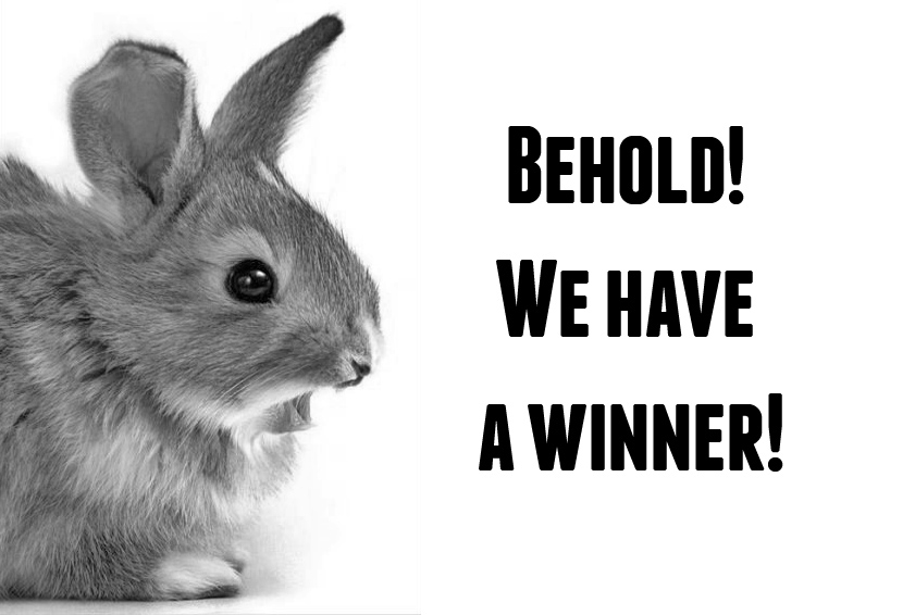 behold-winner