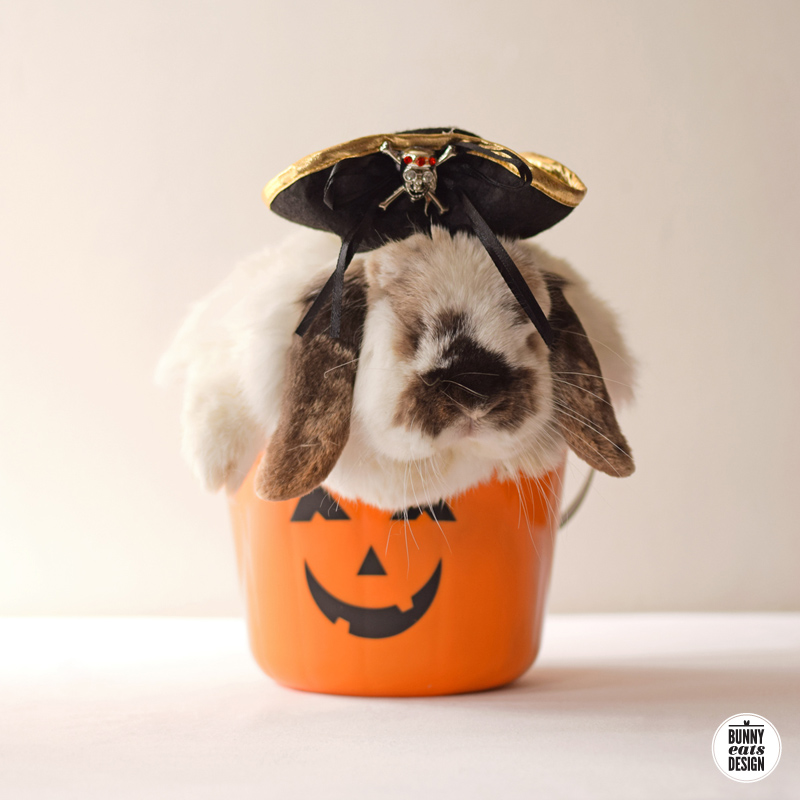 tofu-halloween2015