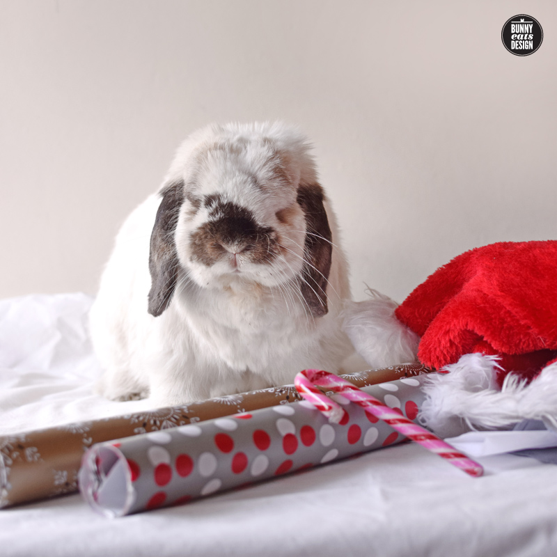 tofu-christmas-gift-wrapping-032