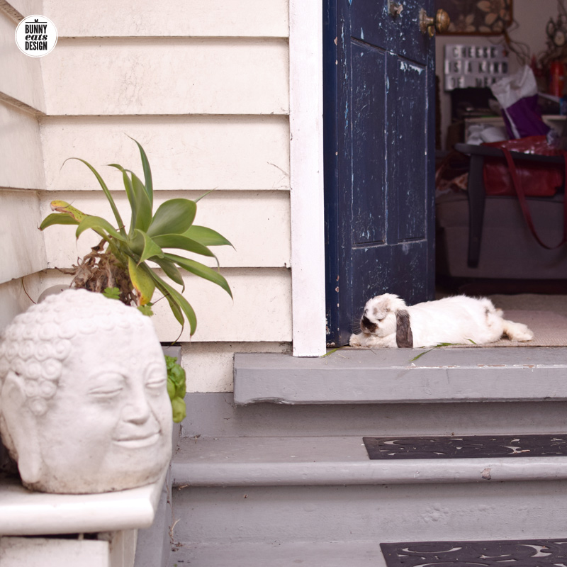 tofu-front-door-jan001