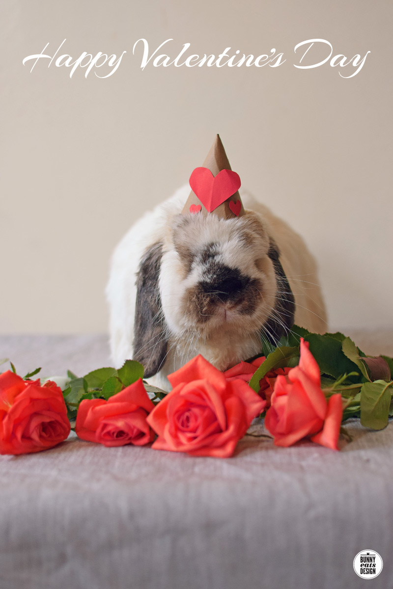 tofu-valentines-2016-001