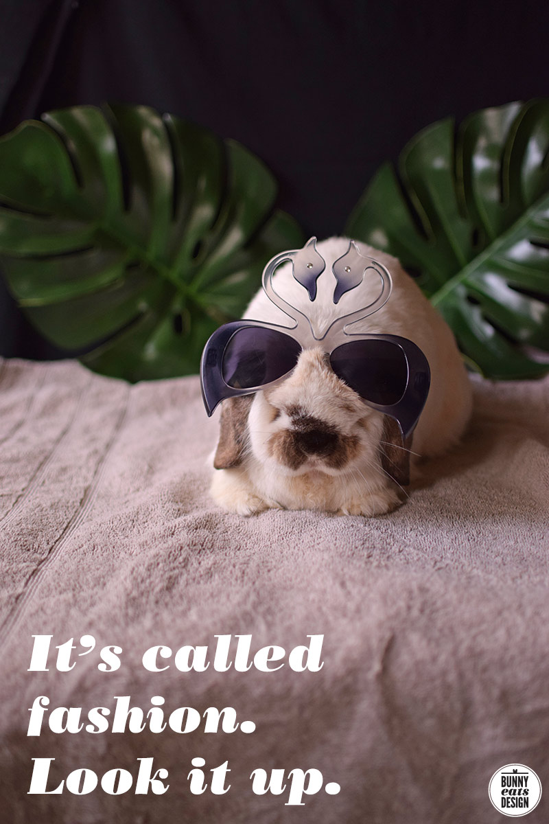 tofu-swan-sun-glasses-024