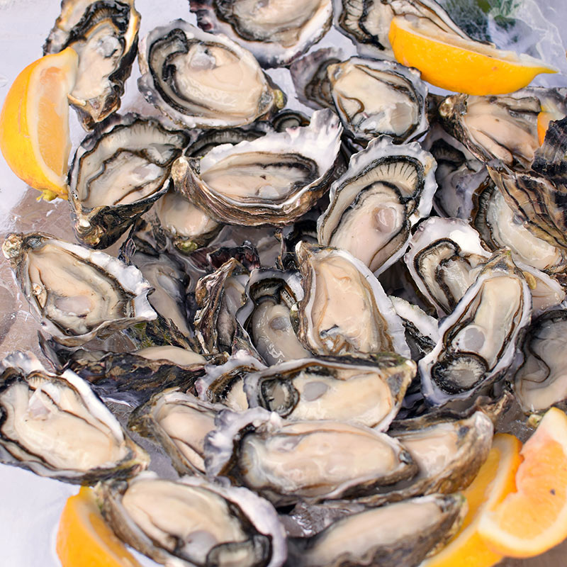 tematuku-oyster-fest-075