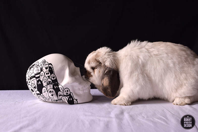 tofu-cracked-ink-skull-010