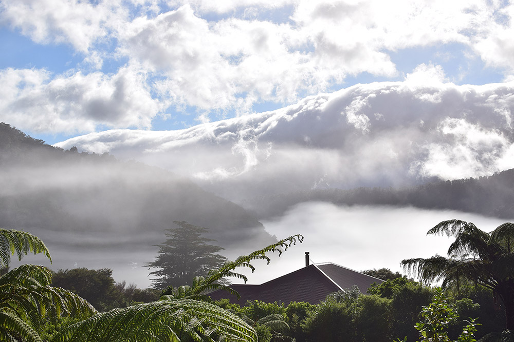 marlborough-sounds-xmas-007